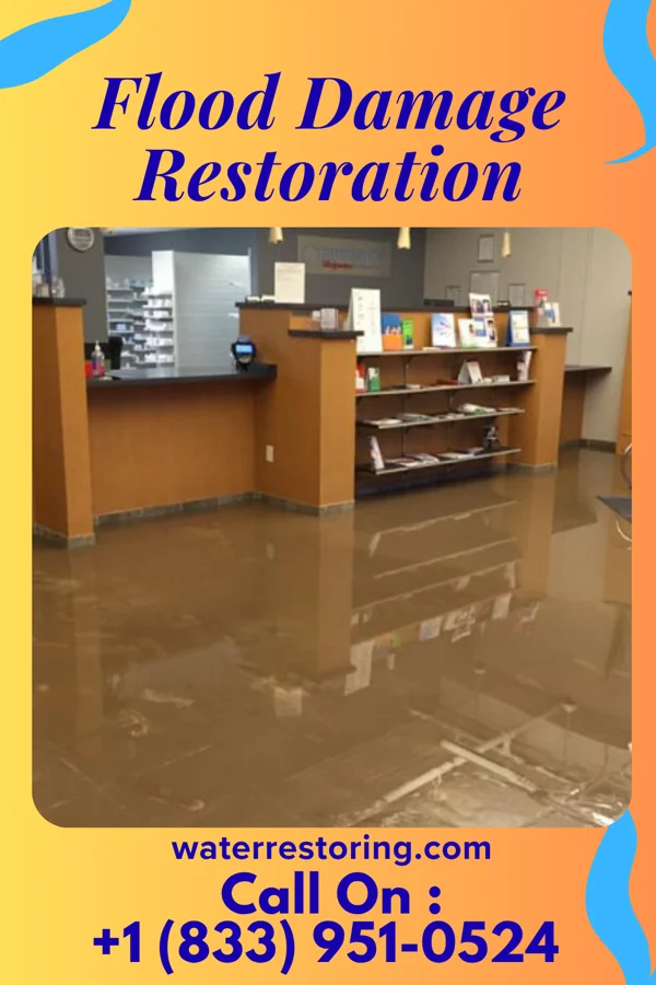 Flood Damage Restoration in Crivitz, WI