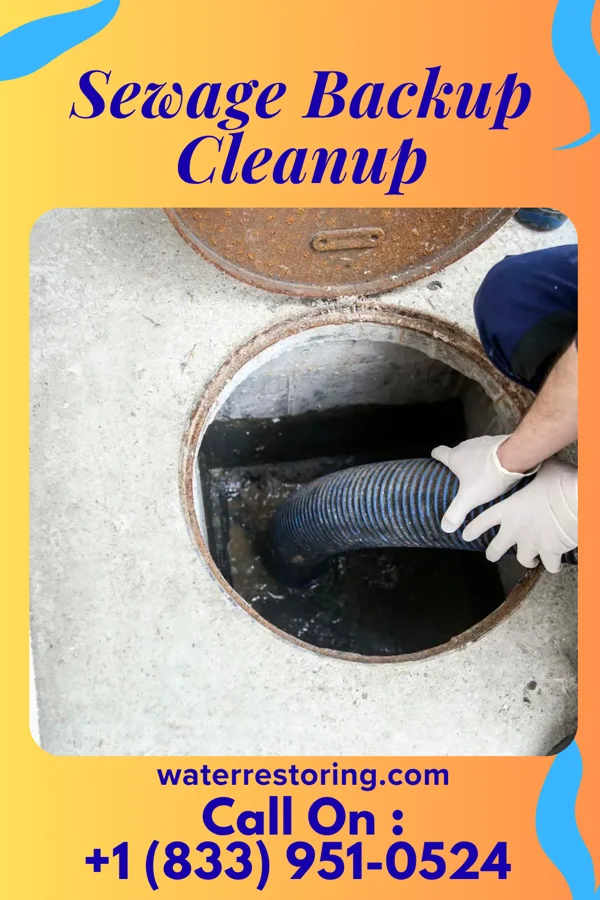 Sewage Backup Cleanup in Crivitz, WI
